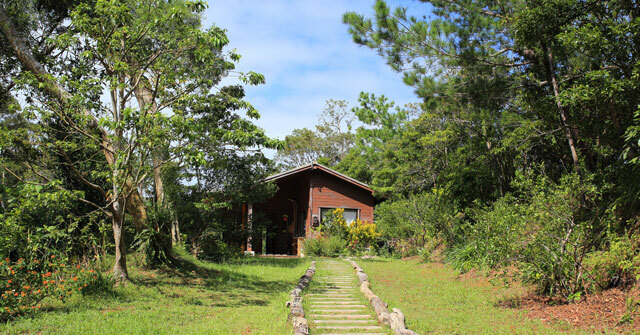 地域別 沖縄の 森カフェ 19選 マイナスイオンに癒されるおすすめカフェ Reborn In Okinawa