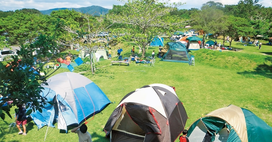 Campsites, 国頭村森林公園【公式】